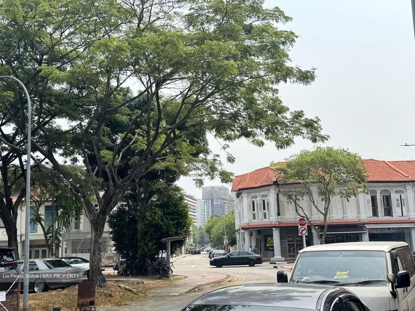 Joo Chiat Place (D15), Shop House #619484101